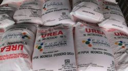 Diduga Jual Pupuk hingga Keluar Desa Warga Sumengko Geruduk Kantor Desa