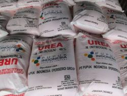 Diduga Jual Pupuk hingga Keluar Desa Warga Sumengko Geruduk Kantor Desa